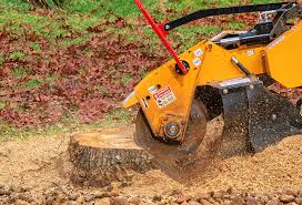Soil Testing and Treatment in Hemphill, TX